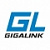 Оборудование GIGALINK