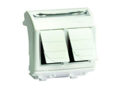 Розетка компьютерная 2-м СП 2мод. Brava RJ45 кат.6A сл. кость DKC 75653S